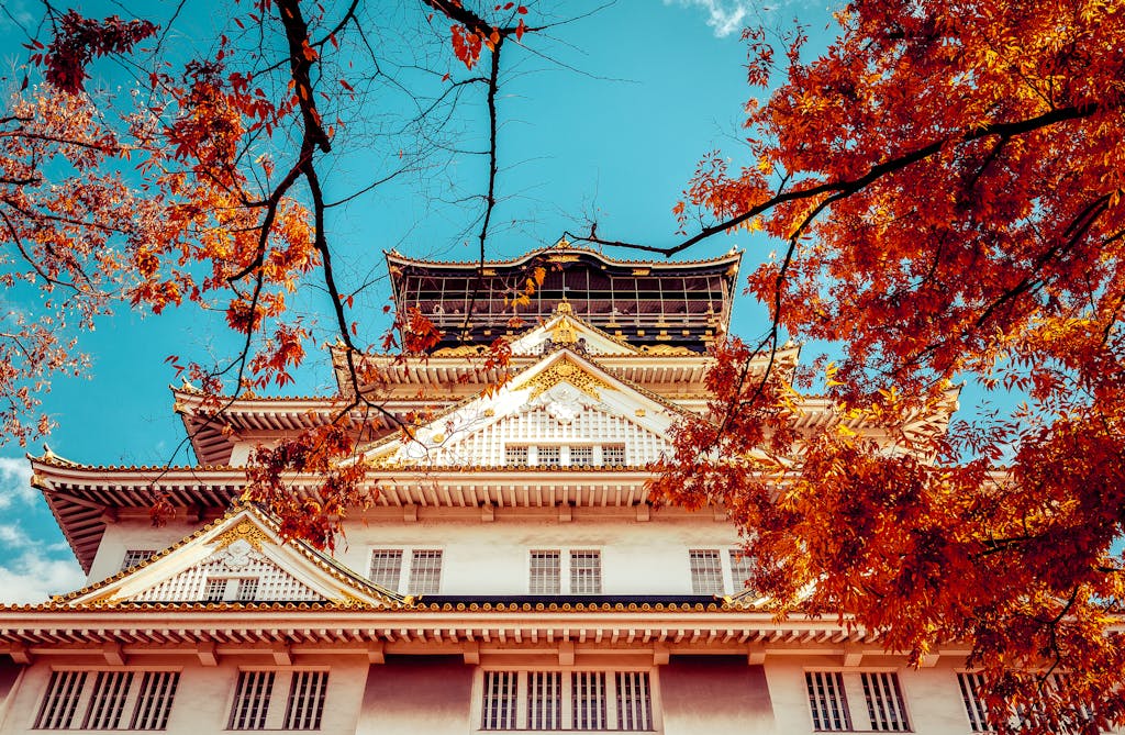 A stunning low-angle view of Osaka Castle framed by vibrant autumn foliage under a clear blue sky.
