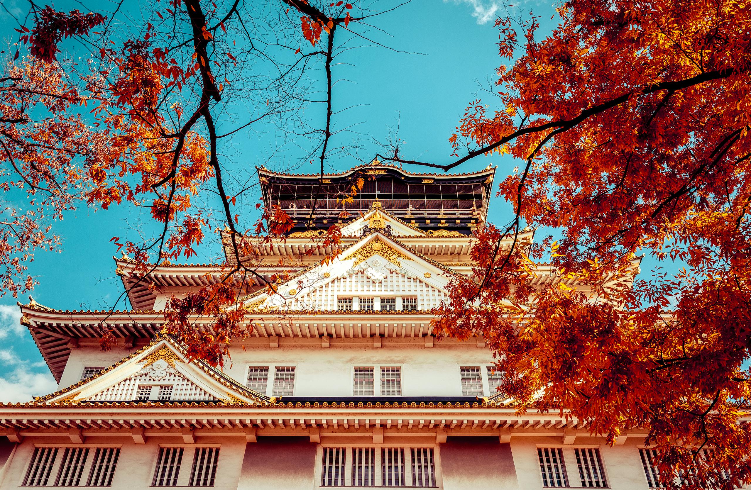 A stunning low-angle view of Osaka Castle framed by vibrant autumn foliage under a clear blue sky.
