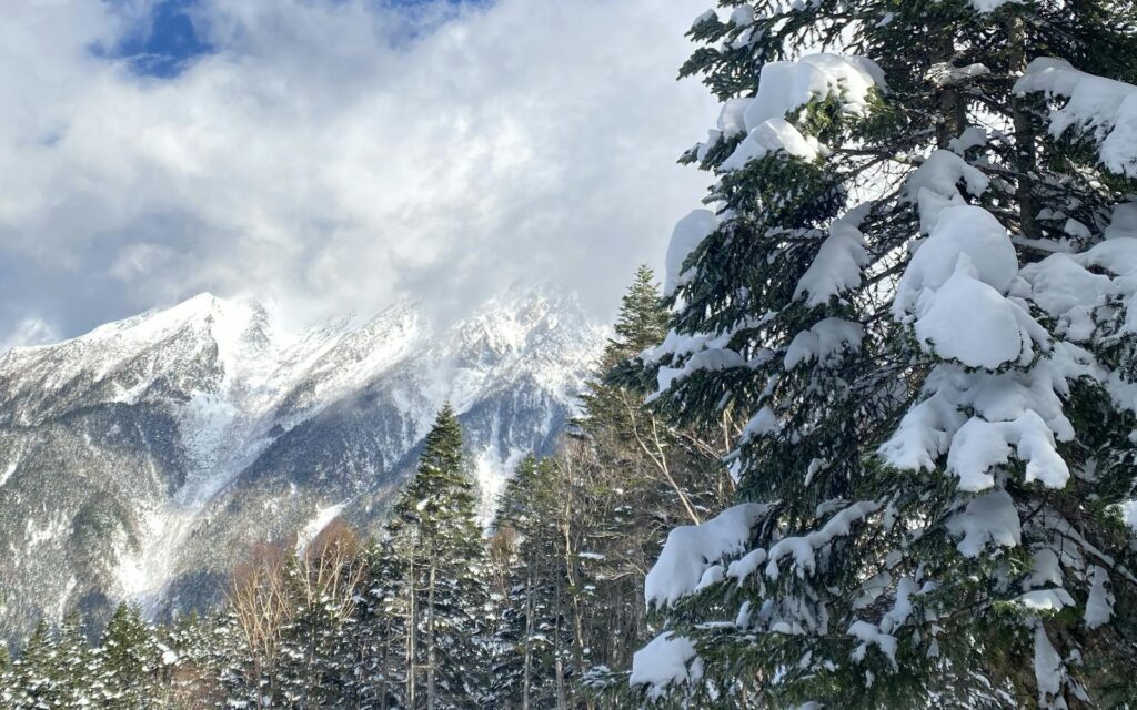 A stunning view of snow-covered mountains and trees under a clear blue sky in Japan.