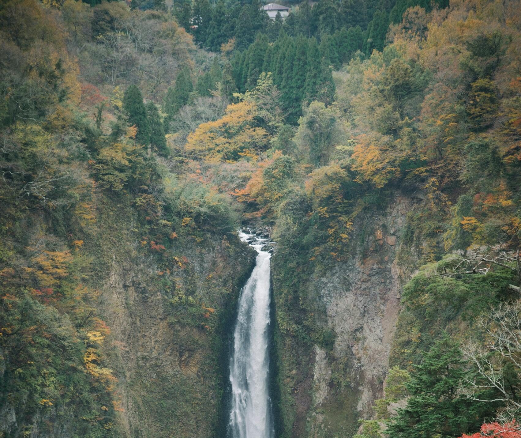 Breathtaking view of Kegon Falls surrounded by vibrant autumn foliage in Japan.